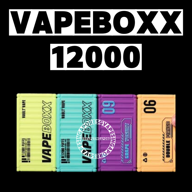 VapeBoxx 12000 Disposable vape-sg vape singapore